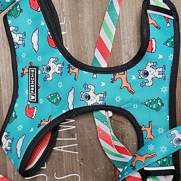 REVERSIBLE CHRISTMAS HARNESS - Picture 1 of 3